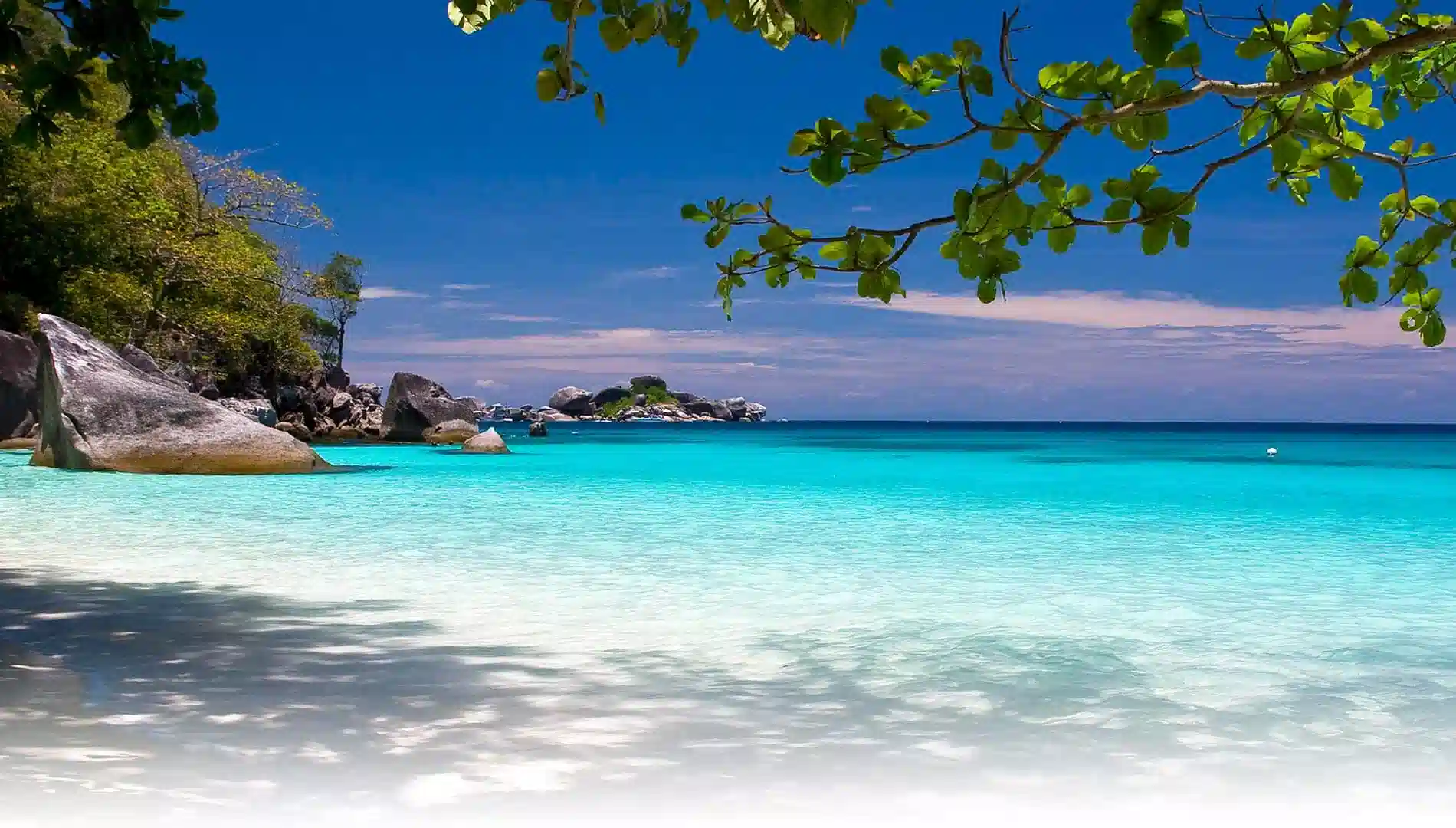 Resort main entrance and lobby