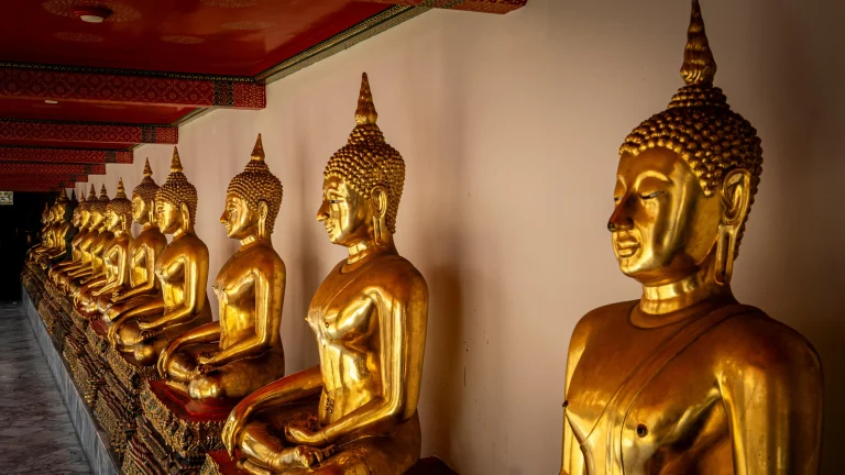 3 Temples Full Day Tour