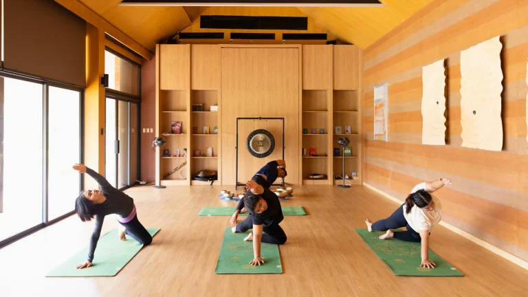 La Vita Sana Wellness